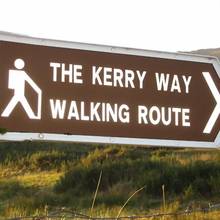 Alojamento de Acomodação e Pequeno-almoço River 4*