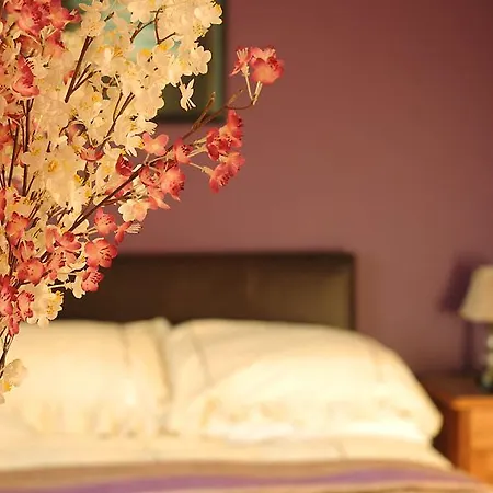 River Bed & Breakfast