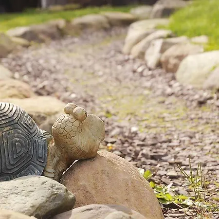 Alojamento de Acomodação e Pequeno-almoço River