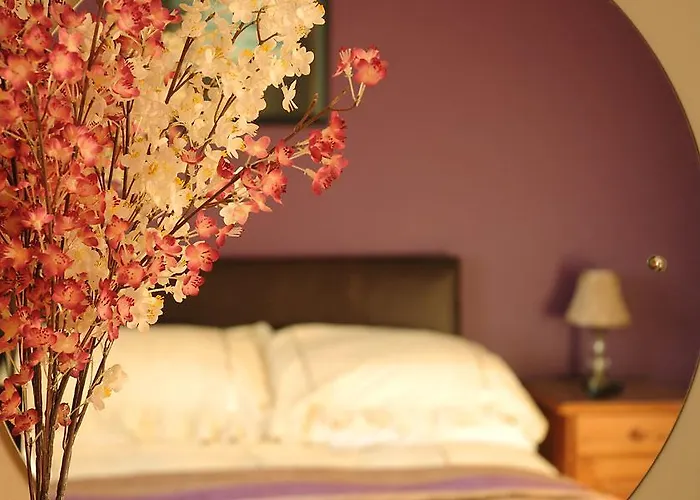 River Bed & Breakfast